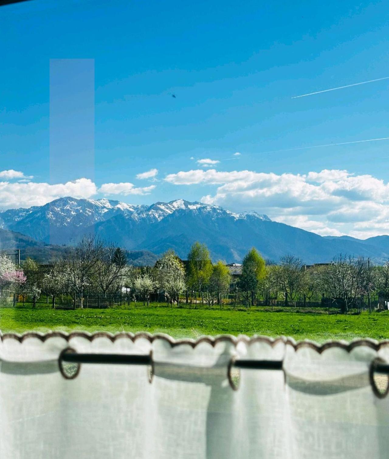 DAS home-Apartament cu vedere la munte Rîşnov Exterior foto