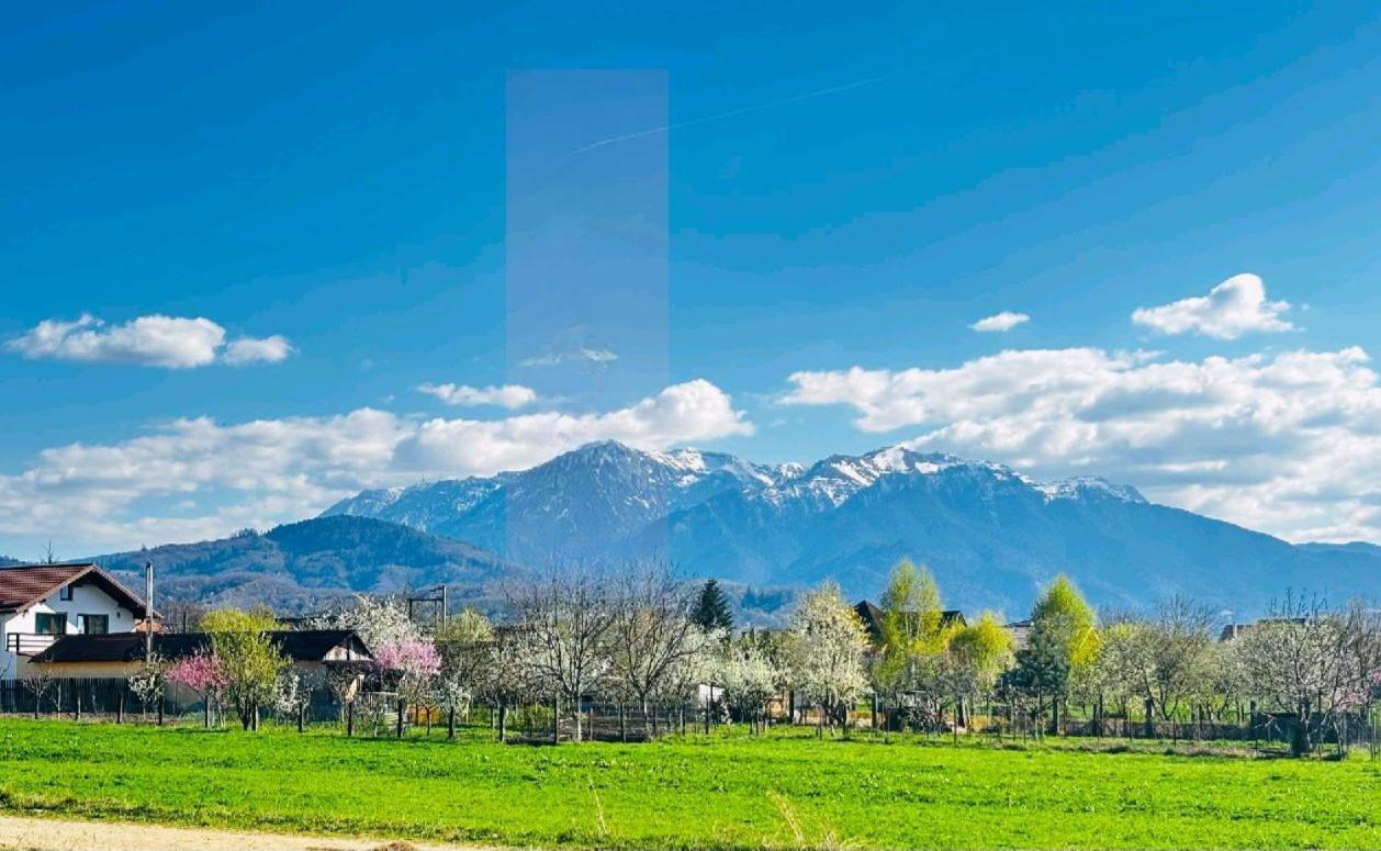 DAS home-Apartament cu vedere la munte Rîşnov Exterior foto