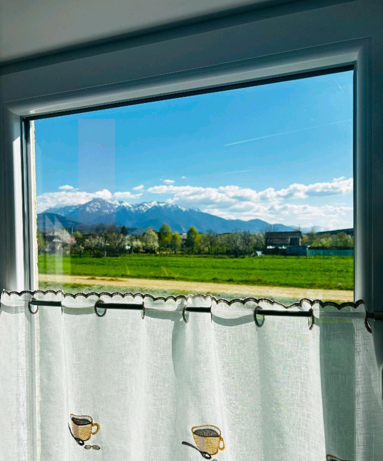 DAS home-Apartament cu vedere la munte Rîşnov Exterior foto